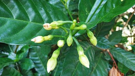 《一星的我与最强地下城》上线Steam页面 11月21日发售