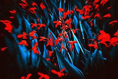 重燃90年代热血FPS《法外枭雄：滚石城》正式登陆 Steam