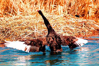 蓝岛新作 大型对战FPS游戏《LEAP》正式公布